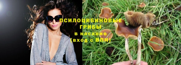 каннабис Заводоуковск