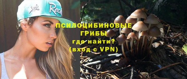 молекула духа Зеленокумск