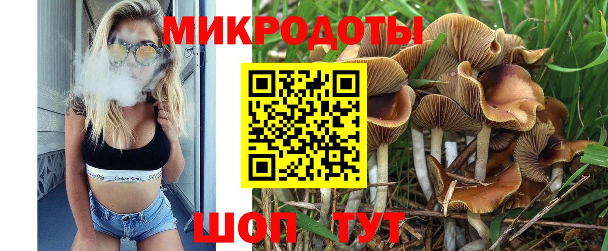 Псилоцибиновые грибы мухоморы  Вход с VPN  Псилоцибиновые грибы мухоморы  Зерноград 